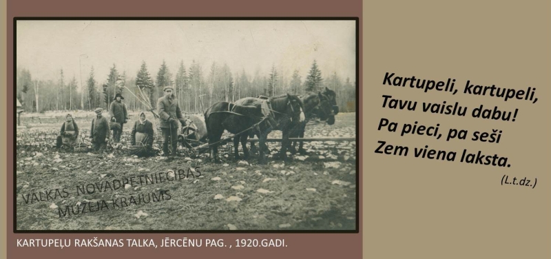 Kartupeļu rakšanas talka, Jērcēnu pagasts, 1920.gadi. Melnbalta fotogrāfija ar talciniekiem un zirgiem.