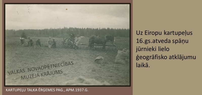 Kartupeļu rakšana Ērģemes pagastā, apmēram 1937. gads. Melnbalta fotogrāfija ar talciniekiem un zirgiem. Priekšplānā kartupeļu maisi.