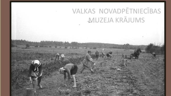 Kartupeļu talka piemājas saimniecībā 1960.gadi. Kartupeļu lauks ar talciniekiem. 